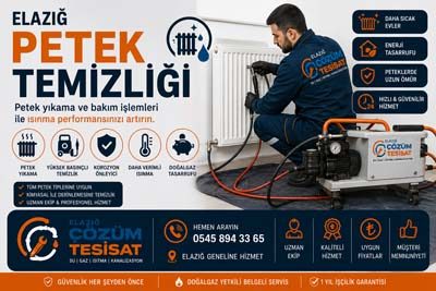 Elazığ Petek Temizliği